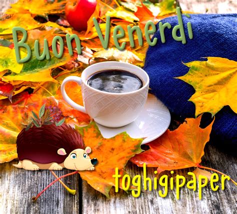 buongiorno venerdì autunnale|immagini buon venerdì toghigi.